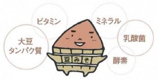 豆みそで、元気もりもり! 豆みそで、元気もりもり!