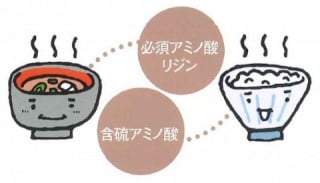 朝はごはんとみそ汁! 朝はごはんとみそ汁!